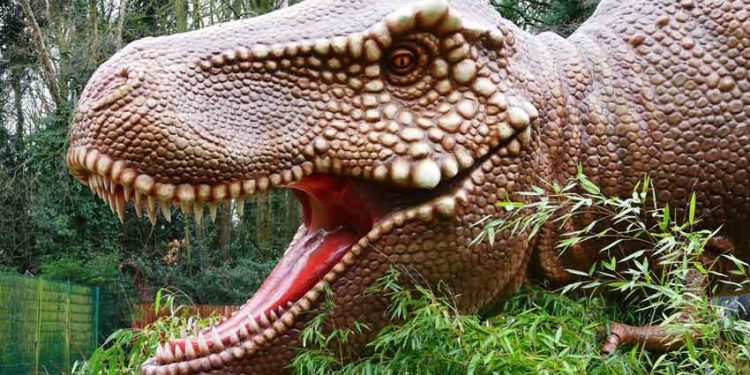 Pesquisadores da USP estão perto de transformar o CO2 em combustível ou mesmo em plásticos